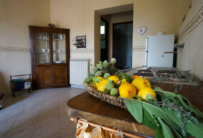 آپارتمان 1 خوابه با چشم‌انداز دریا, Agriturismo Ss Annunziata