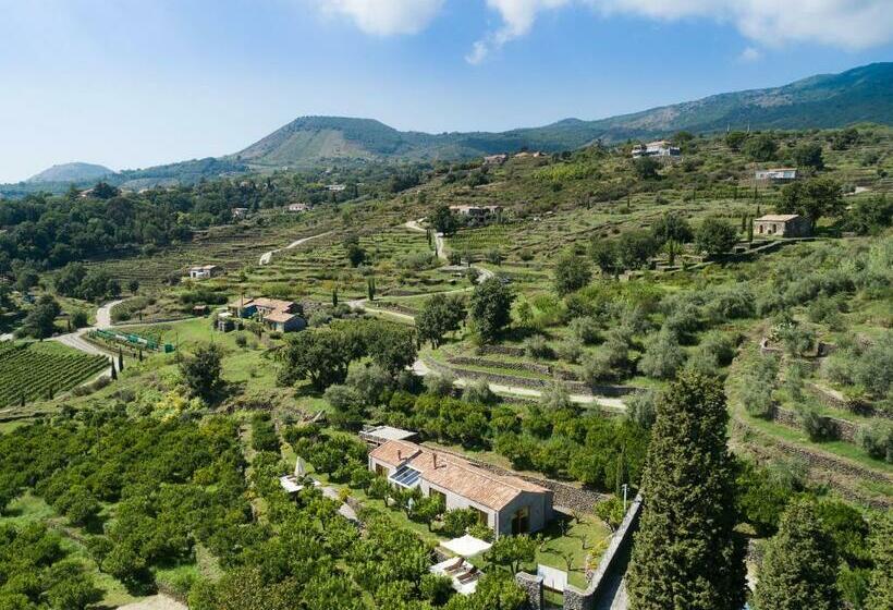 スイート, Monaci Delle Terre Nere