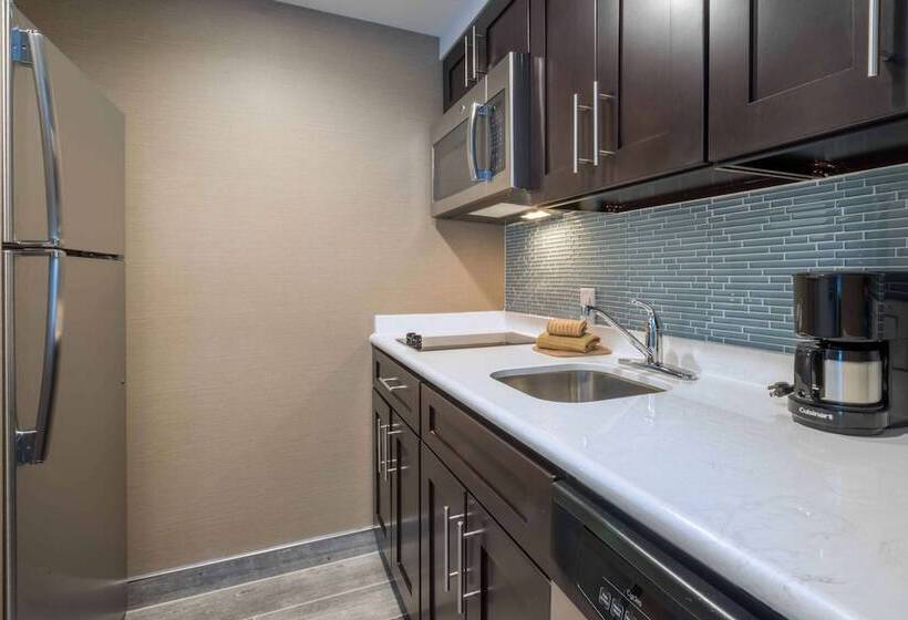 Люкс Адаптированный для Инвалидов, Homewood Suites By Hilton Philadelphia Plymouth Meeting