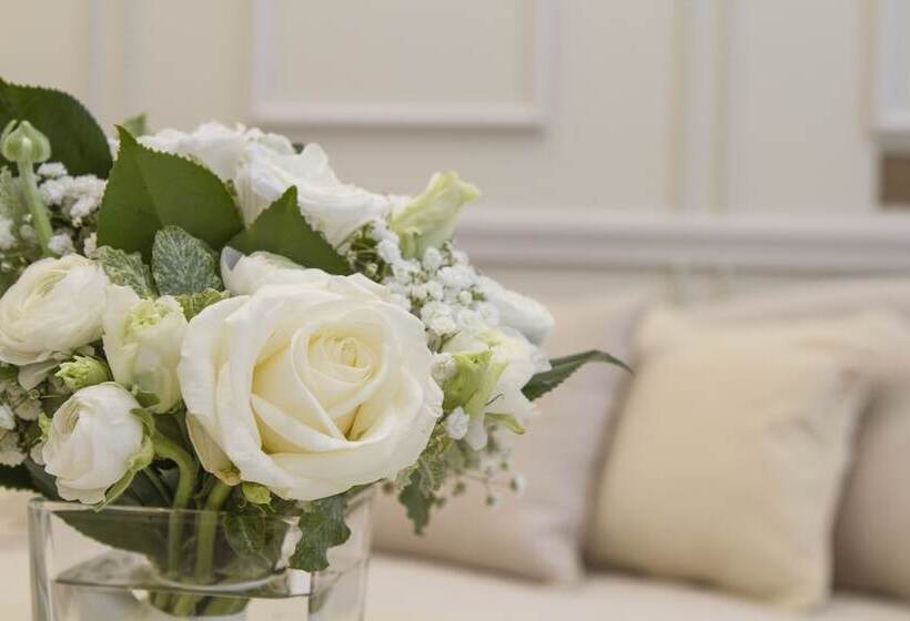 سوییت جونیور, Le Narcisse Blanc