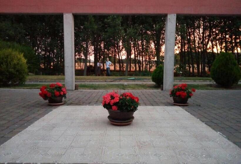 Апартаменты 1 Спальня Нижний Этаж, Santa Coloma Del Camino