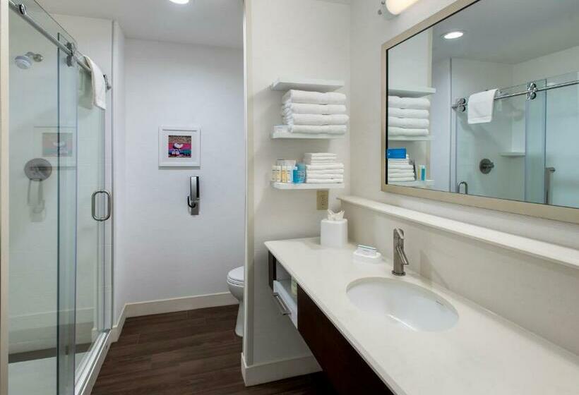Номер Стандарт Кровать Кинг Адаптированный для Инвалидов, Hampton Inn By Hilton New Paltz
