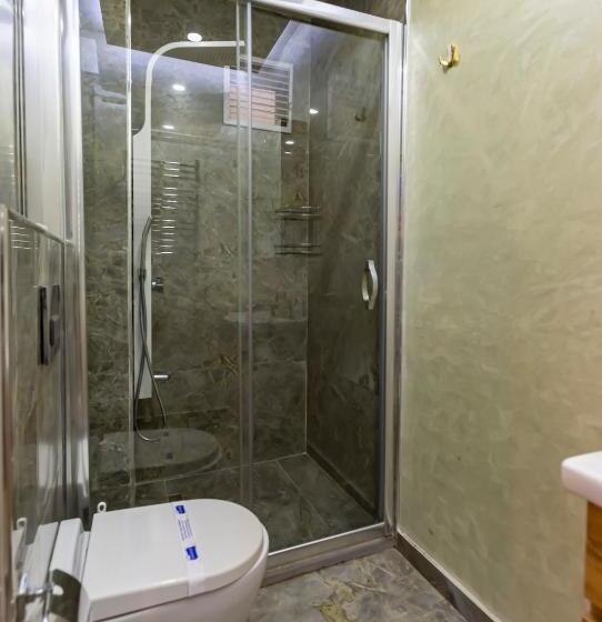 اتاق اکونومی, Loren Hotel&suites
