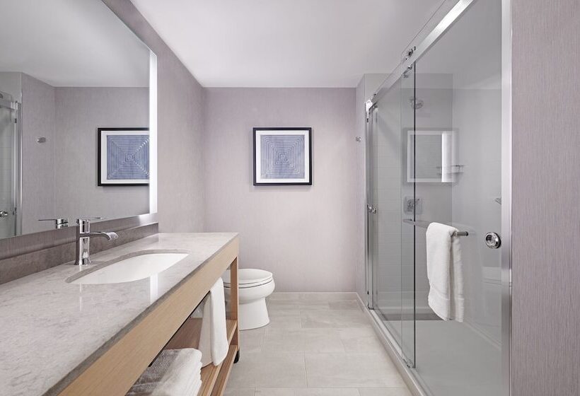 Люкс Адаптированный для Инвалидов, Hyatt Place Munster
