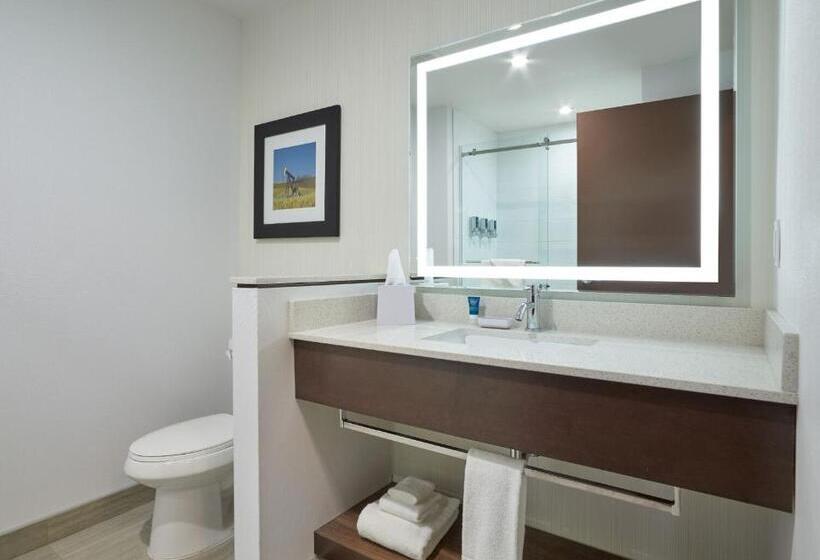 스탠다드 룸, Four Points By Sheraton Sherwood Park
