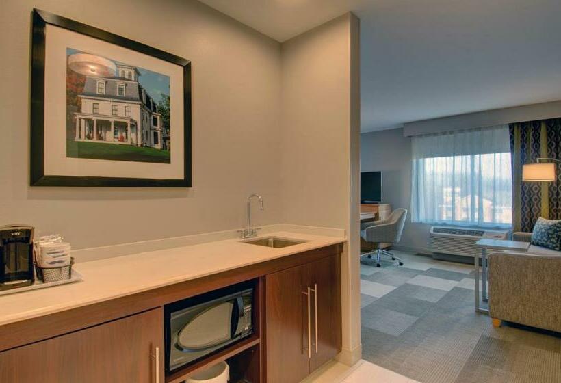 Студия Стандарт, Hampton Inn Boston  Westborough