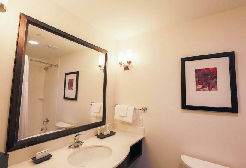 장애인을 위한 킹사이즈 침대 스탠다드 룸, Hilton Garden Inn Indiana At Iup