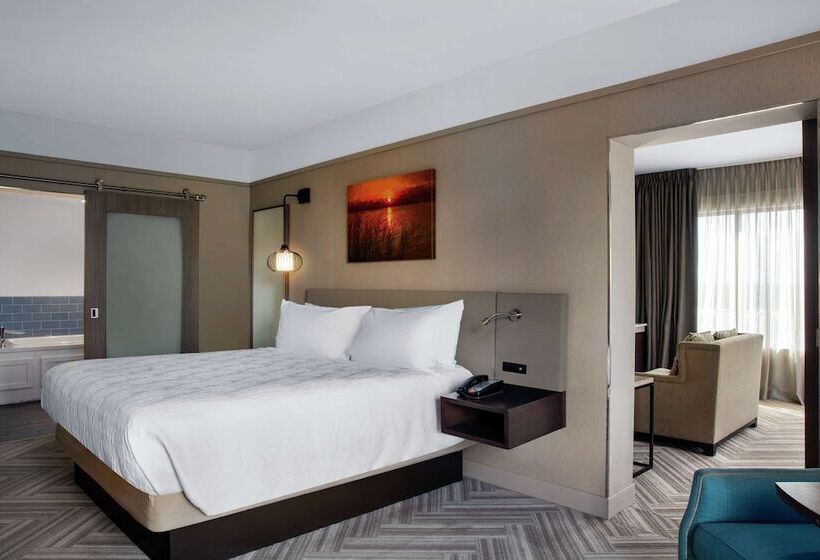 스위트 킹사이즈 침대, Hilton Garden Inn Mobile Downtown