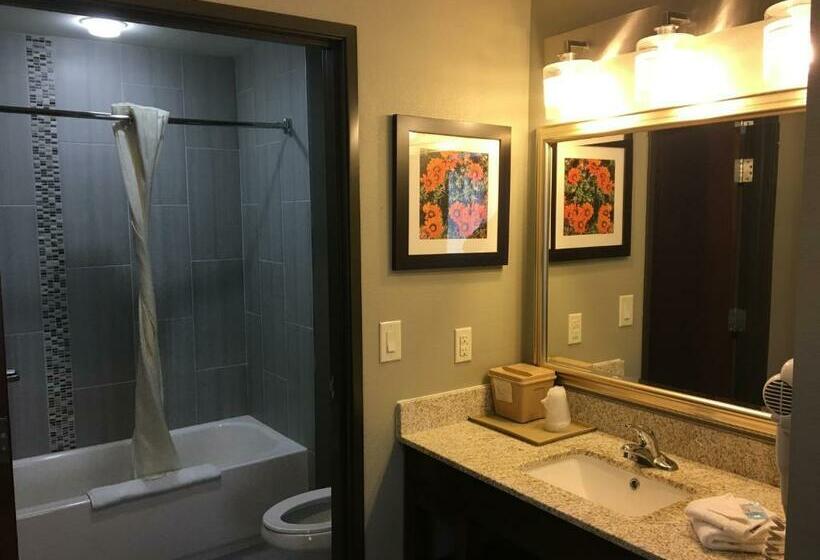 Люкс Кровать Кинг, Mainstay Suites Hobbs