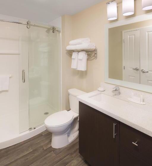 带大床的标准工作室, Towneplace Suites By Marriott Swedesboro Logan Township