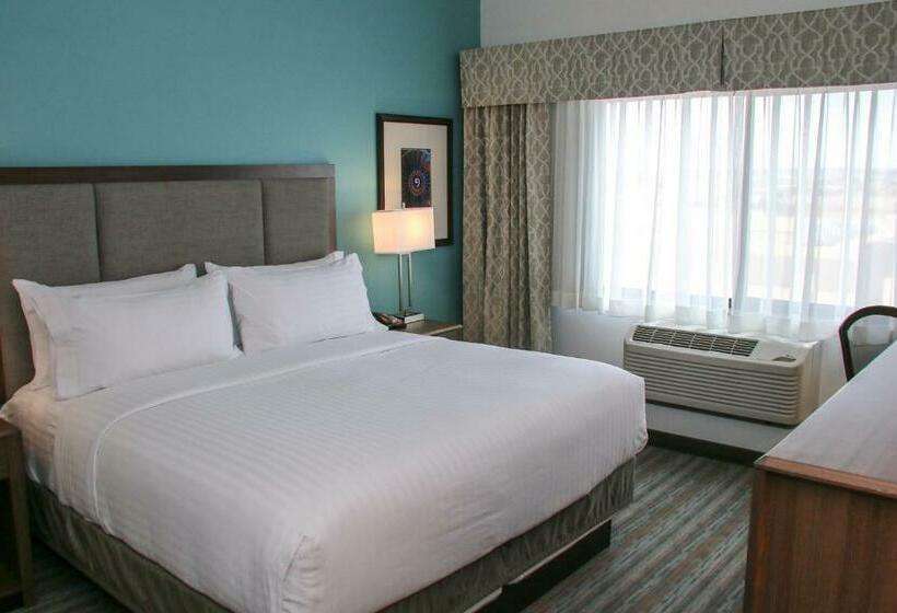 Стандартный Номер Кровать Кинг, Holiday Inn & Suites Denver Tech Center Centennial, An Ihg