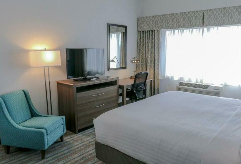 스탠다드 룸 킹사이즈 침대, Holiday Inn & Suites Denver Tech Center Centennial, An Ihg