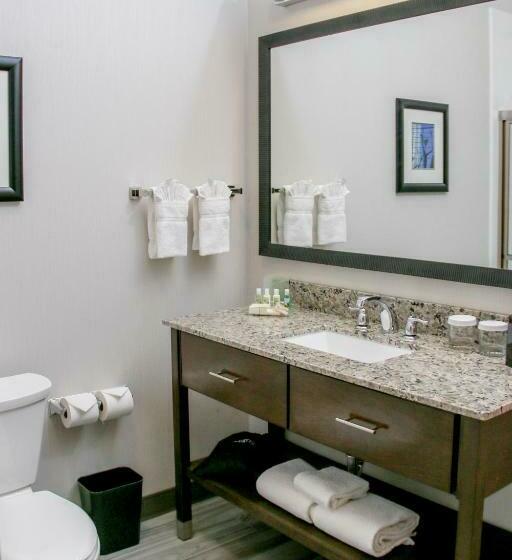 Стандартный Номер Кровать Кинг, Holiday Inn & Suites Denver Tech Center Centennial, An Ihg
