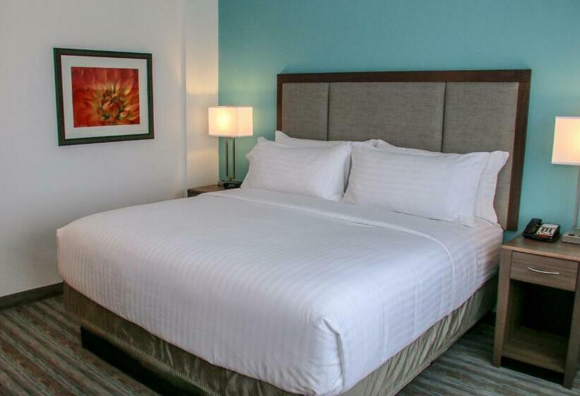 Люкс Кровать Кинг, Holiday Inn & Suites Denver Tech Center Centennial, An Ihg