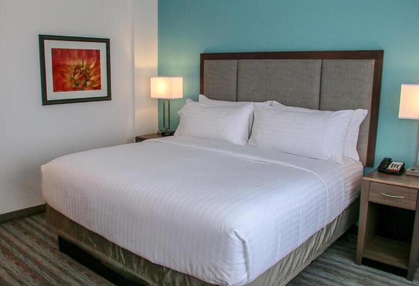 Номер Стандарт Кровать Кинг Адаптированный для Инвалидов, Holiday Inn & Suites Denver Tech Center Centennial, An Ihg