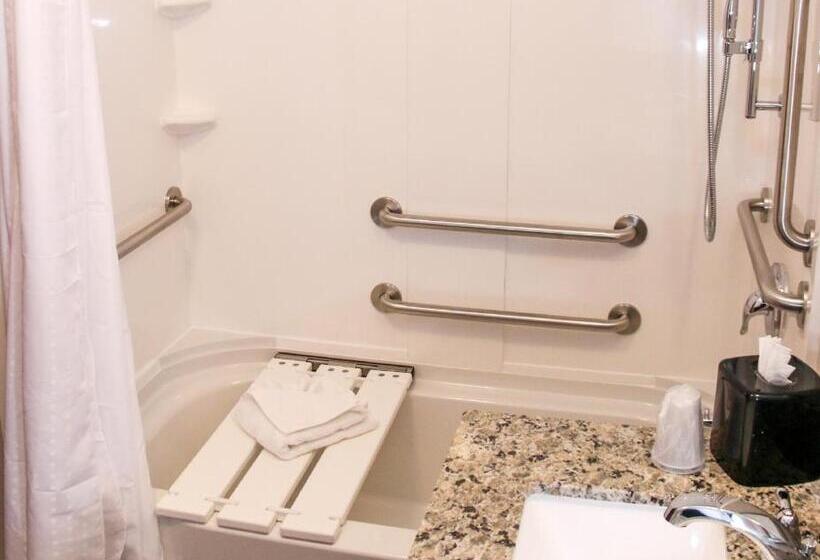 스탠다드 룸 킹사이즈 침대, Holiday Inn & Suites Denver Tech Center Centennial, An Ihg