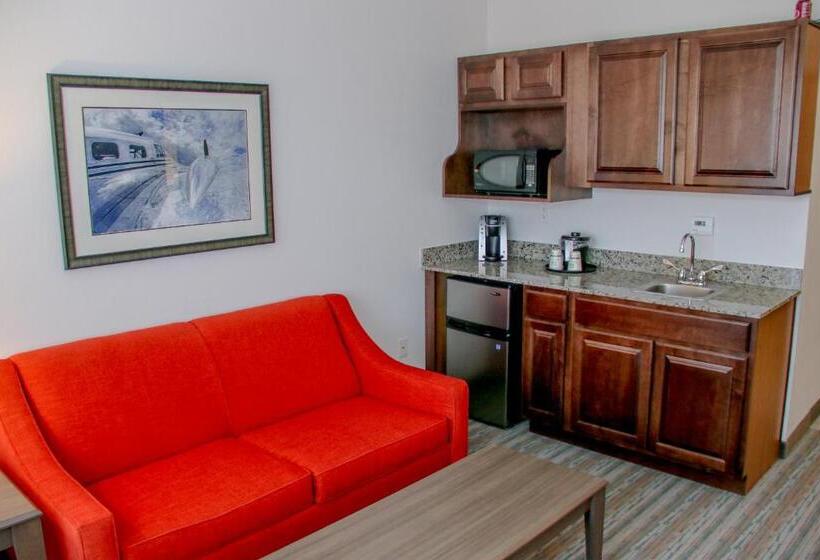 Люкс Адаптированный для Инвалидов, Holiday Inn & Suites Denver Tech Center Centennial, An Ihg