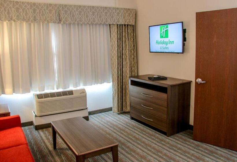 Президентский Люкс, Holiday Inn & Suites Denver Tech Center Centennial, An Ihg