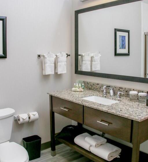 Президентский Люкс, Holiday Inn & Suites Denver Tech Center Centennial, An Ihg