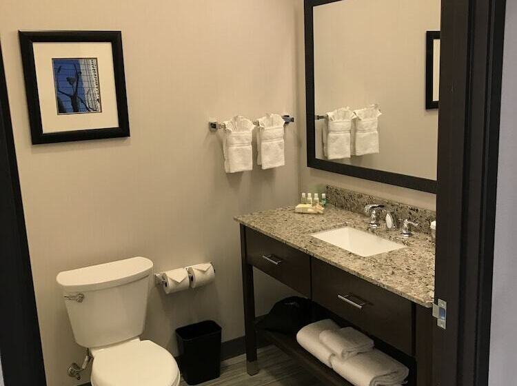 스탠다드 룸, Holiday Inn & Suites Denver Tech Center Centennial, An Ihg