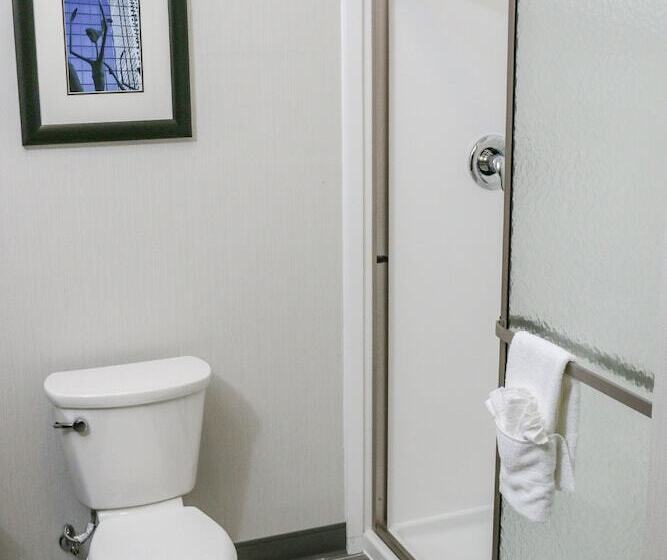 Номер Стандарт, Holiday Inn & Suites Denver Tech Center Centennial, An Ihg