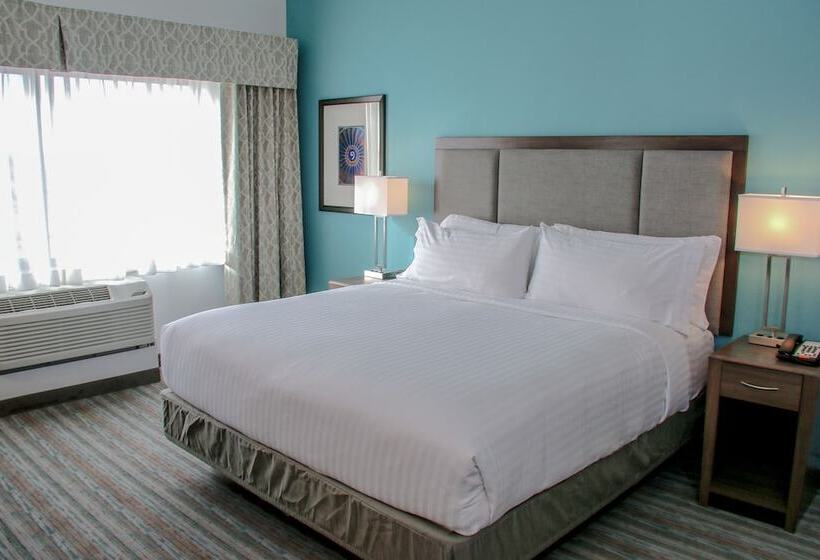 Люкс Адаптированный для Инвалидов, Holiday Inn & Suites Denver Tech Center Centennial, An Ihg