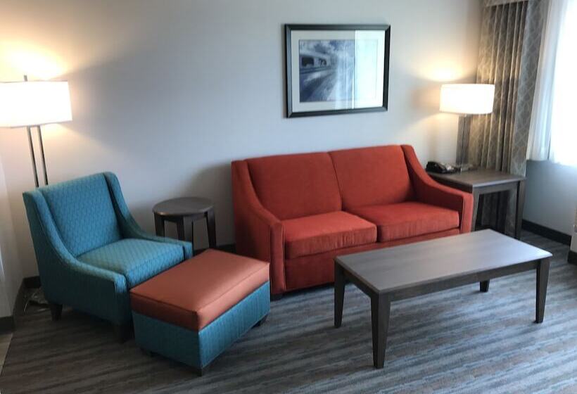 Люкс Адаптированный для Инвалидов, Holiday Inn & Suites Denver Tech Center Centennial, An Ihg