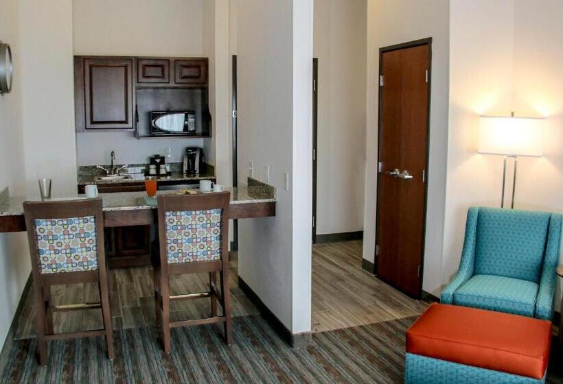Люкс Адаптированный для Инвалидов, Holiday Inn & Suites Denver Tech Center Centennial, An Ihg