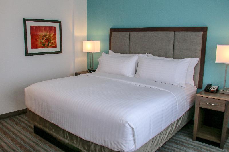 Стандартный Номер Кровать Кинг, Holiday Inn & Suites Denver Tech Center Centennial, An Ihg