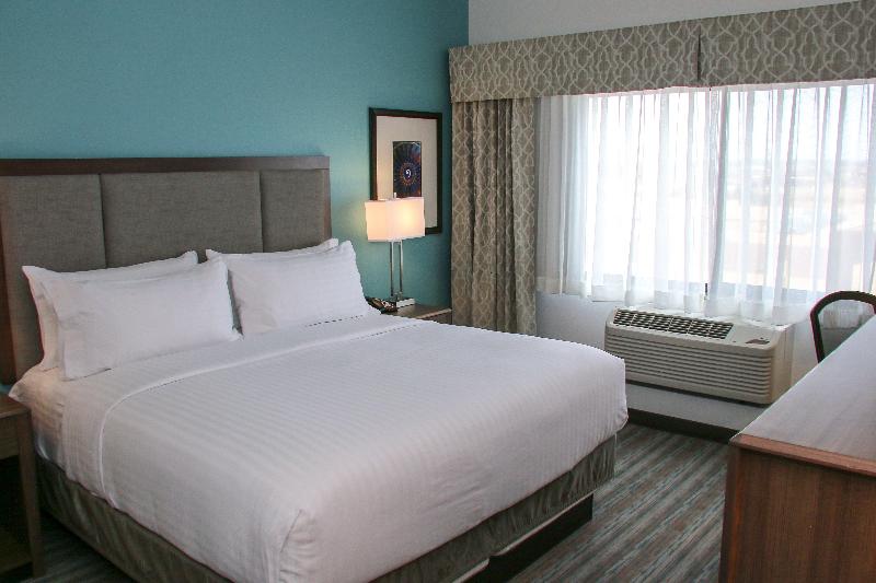 스탠다드 룸 킹사이즈 침대, Holiday Inn & Suites Denver Tech Center Centennial, An Ihg