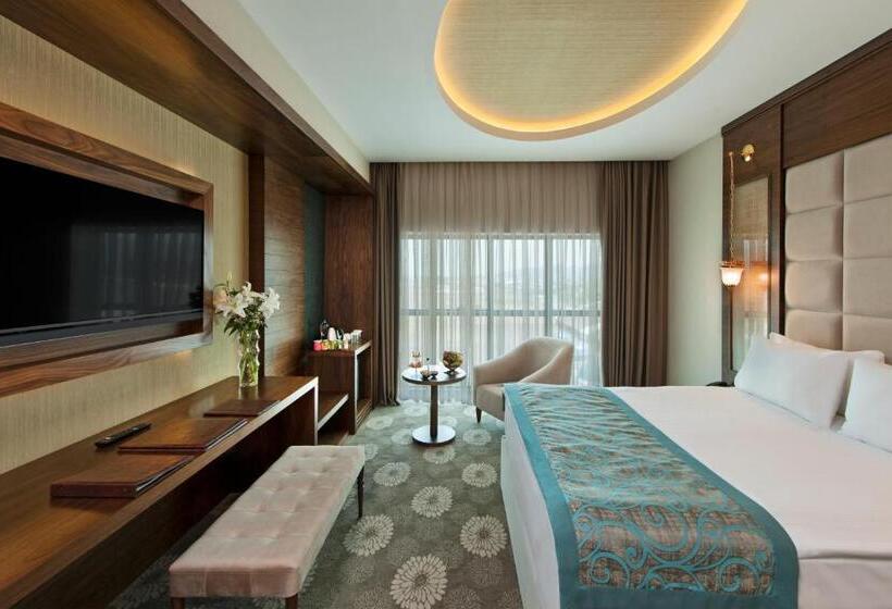 디럭스 룸, Akrones Thermal Spa Convention