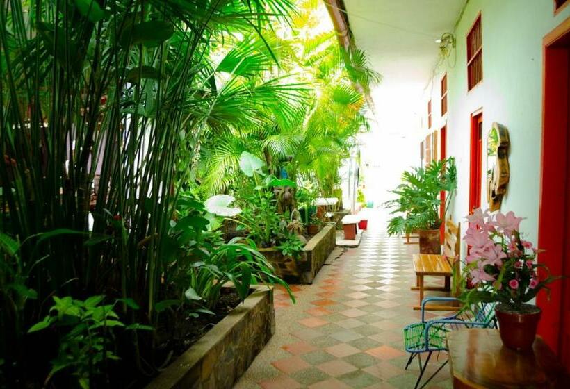 Четырехместный Номер Стандарт, Abacoa