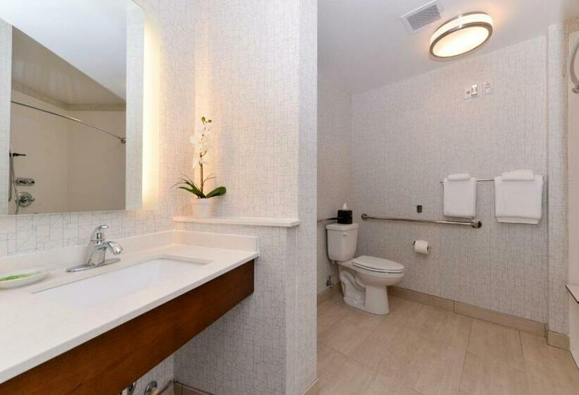 스탠다드 룸, Holiday Inn Express & Suites Trinity, An Ihg