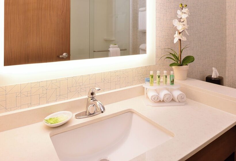 스탠다드 룸 더블 침대 2개, Holiday Inn Express & Suites Trinity, An Ihg
