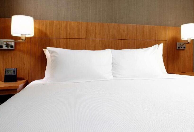 Номер Стандарт Кровать Кинг Адаптированный для Инвалидов, Hyatt Place Cleveland/lyndhurst/legacy Village