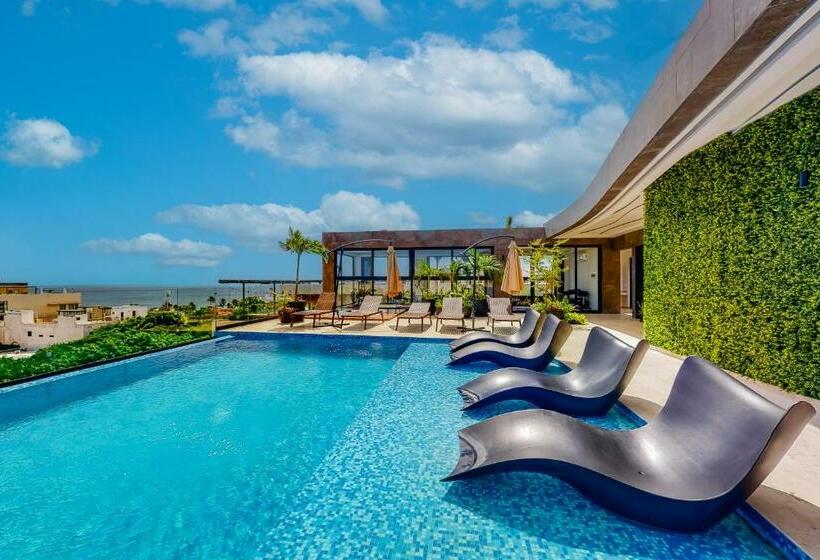 חדר סטודיו סטנדרד, Perfect Place 311