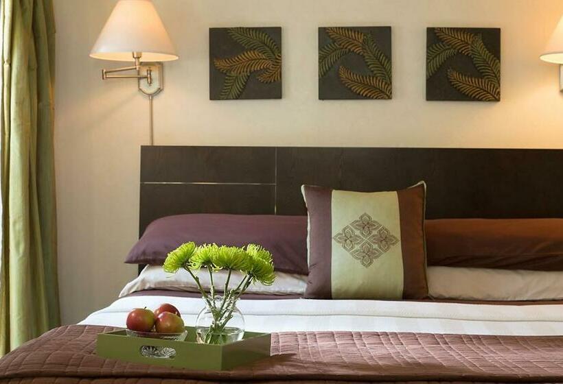 Номер Deluxe Кровать Кинг, Casa De Suenos B & B