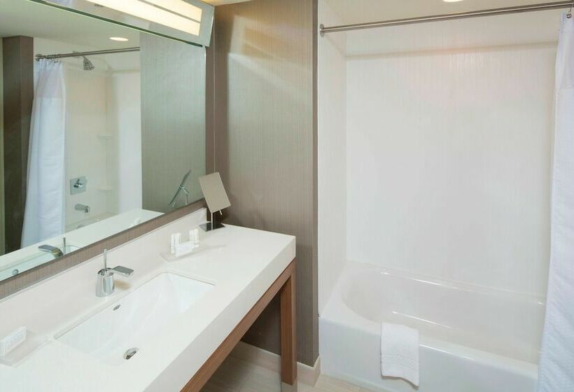 이그제큐티브 룸, Courtyard By Marriott Dallas Midlothian At Midlothian Conference Center