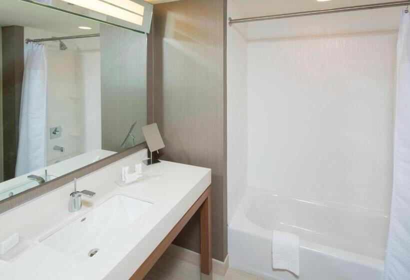 이그제큐티브 룸, Courtyard By Marriott Dallas Midlothian At Midlothian Conference Center