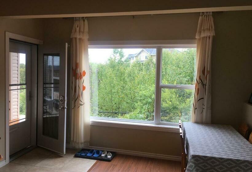 山景套房, 民宿ann S House In Calgary