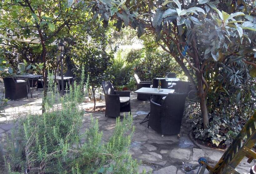 سوییت با چشم‌انداز کوه, Guest House Villa Kosa