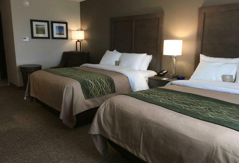 Номер Стандарт, Comfort Inn & Suites Snyder