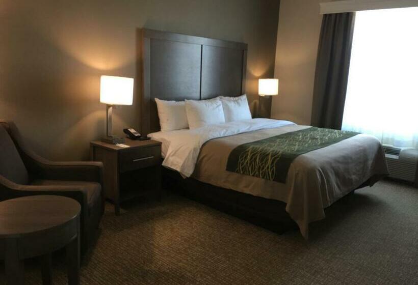 Стандартный Номер Кровать Кинг, Comfort Inn & Suites Snyder
