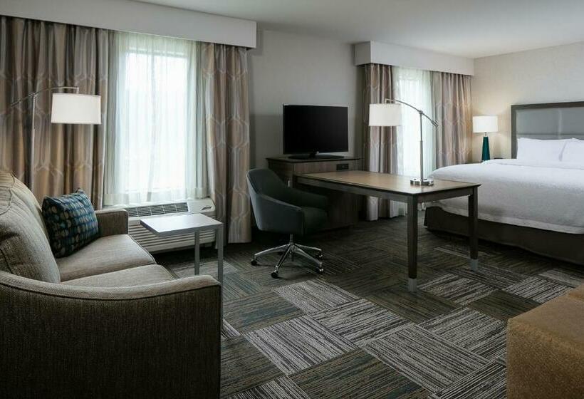 디럭스 스위트 킹 침대, Hampton Inn & Suites Hudson