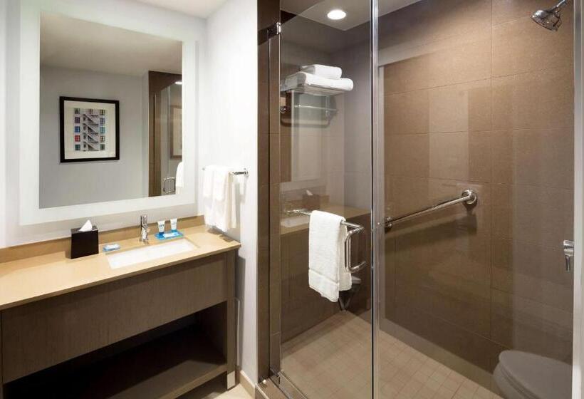 Номер Стандарт Кровать Кинг Адаптированный для Инвалидов, Hyatt House Dallas/frisco