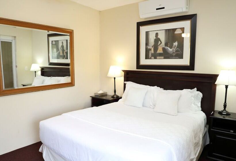 スタンダードルーム, Kingston Place Guesthouse