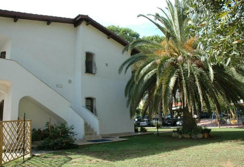 اتاق خانوادگی, Anfora