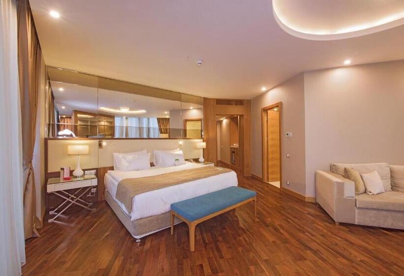 سوئیت با تخت بزرگ, Ramada Plaza By Wyndham Konya