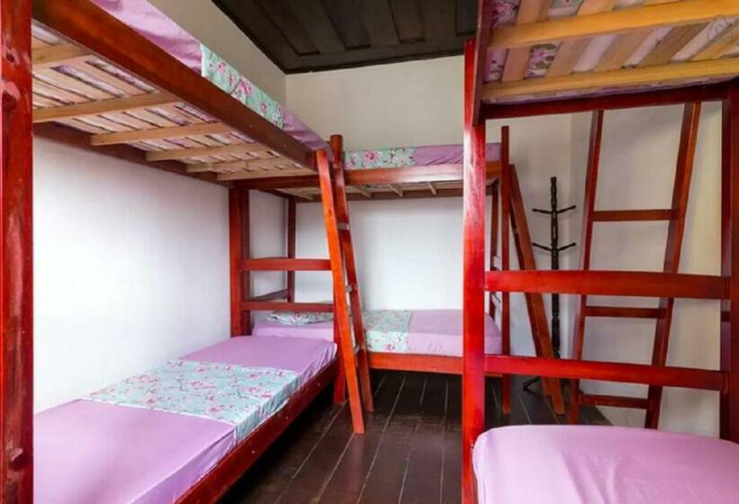 Кровать в Общей Комнате, Maracujá Hostel