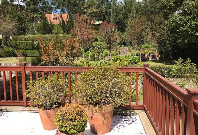 Люкс Премиум, Roots Resort
